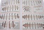 Mantua Model Lancia Armata Svedese 1:35 kit