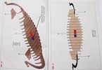 Mantua Model Viking ship Dreki 1:40 kit