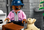 LEGO Icons - Queer team