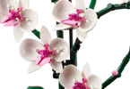LEGO Icons - Orchidej
