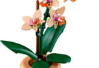 LEGO Botanicals - Miniaturní orchidej