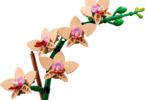 LEGO Botanicals - Miniaturní orchidej