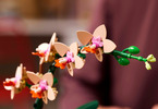 LEGO Botanicals - Miniaturní orchidej