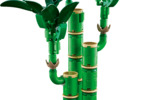 LEGO Botanicals - Bambus štěstí