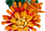 LEGO Icons - Chrysanthemum