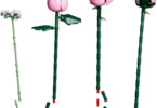 LEGO Botanicals - Kytice růžových růží