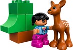 LEGO DUPLO - Lesní zvířátka