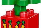 LEGO DUPLO - Domácí mazlíčci