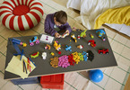 LEGO Classic - Creative Colorful Bricks