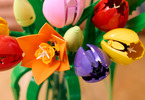 LEGO Botanicals - Kytice tulipánů