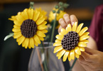 LEGO Botanicals - Kytice slunečnic