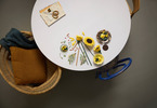 LEGO Botanicals - Kytice slunečnic