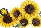 LEGO Botanicals - Kytice slunečnic