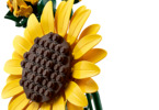 LEGO Botanicals - Kytice slunečnic