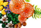 LEGO Botanicals - Lesní houby