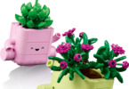 LEGO Botanicals -  Rocking Plants