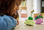 LEGO Botanicals -  Rocking Plants