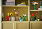 LEGO Botanicals - Kopretiny