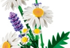 LEGO Botanicals - Kopretiny