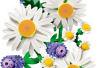LEGO Botanicals - Kopretiny