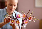 LEGO Botanicals - Větvičky magnólie