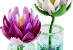 LEGO Botanicals - Lekníny