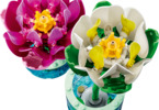 LEGO Botanicals - Lekníny