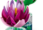 LEGO Botanicals - Lekníny