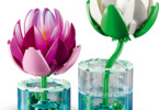 LEGO Botanicals - Lekníny