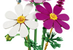 LEGO Botanicals - Krásenky