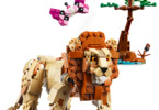 LEGO Creator - Divoká zvířata ze safari