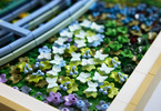 LEGO Art - Claude Monet – Bridge over a Pond of Water Lilies