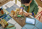 LEGO Creator - Wild Animals: Majestic Lion