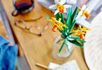 LEGO Others - Daffodils