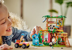 LEGO Friends - Panda Sanctuary Animal Care