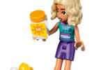 LEGO Friends - Fun Water Park Day
