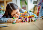 LEGO Disney Princess - Asha's Cottage