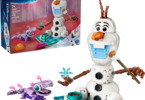 LEGO Disney - Olaf and Bruni’s Picnic Fun