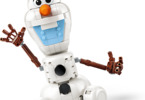 LEGO Disney - Olaf and Bruni’s Picnic Fun