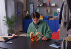 LEGO Pokémon - Arcanine