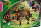 LEGO Wicked - Elphaba's Retreat