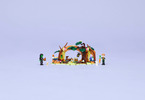LEGO Wicked - Elphaba's Retreat