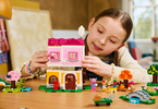 LEGO Animal Crossing - Creative Houses: Seasons of Fun