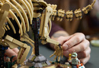 LEGO Jurassic World - Dinosauří fosilie: Triceratops