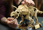 LEGO Jurassic World - Dinosauří fosilie: Triceratops