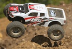 Losi Tenacity Monster Truck 1:10 4WD AVC