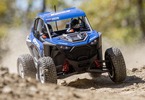 Losi RZR Rey 1:10 4WD RTR