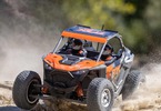 Losi RZR Rey 1:10 4WD RTR