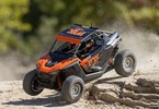 Losi RZR Rey 1:10 4WD RTR