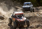 Losi RZR Rey 1:10 4WD RTR